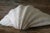 Set of 5 Large Natural Nautical Seashells | Coastal Beach House Decor | Organic Sculptural Display For Sale In Los Angeles - Image 6 of 18