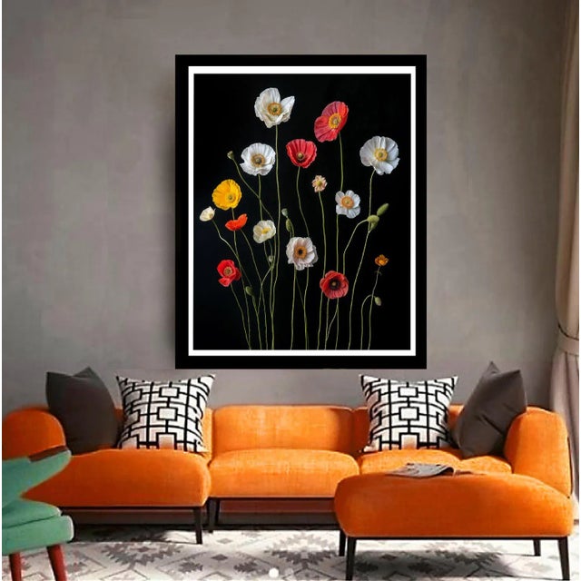 A photograph of several colorful Poppies against black. Printed on 300 gsm Archival Fine Art Paper.