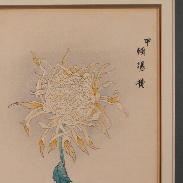3 Vintage Botanical Pictures, Japanese, Woodblock Print, After Hasegawa, Art For Sale - Image 9 of 12