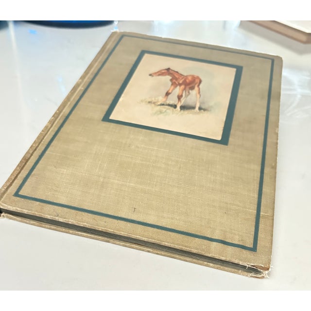 1940s the Red Pony, by John Steinbeck, Illustrated First Edition Hardcover For Sale - Image 12 of 12