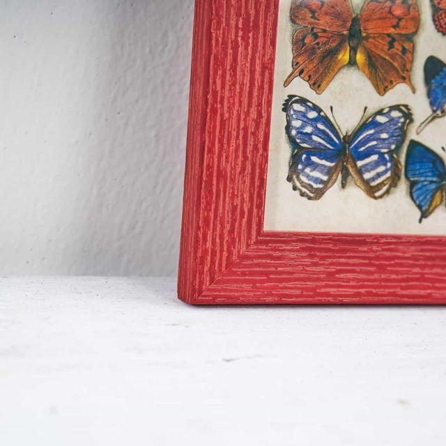Butterfly Nature Chart, 1980s For Sale - Image 6 of 7