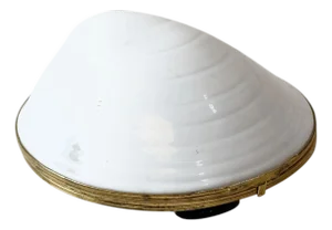 1970s Limoges Shell Box