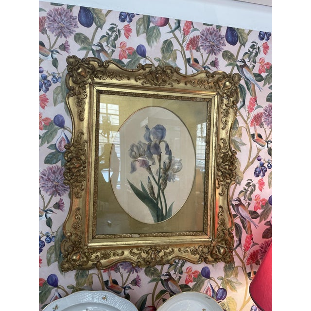 Emily Stackhouse, Schwertlilie, 1864, Watercolor on Paper, Framed For Sale - Image 12 of 12