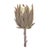 Bring the beauty of nature indoors with this set of Beige Protea Stems. Measuring 20" tall, these lifelike faux flowers...