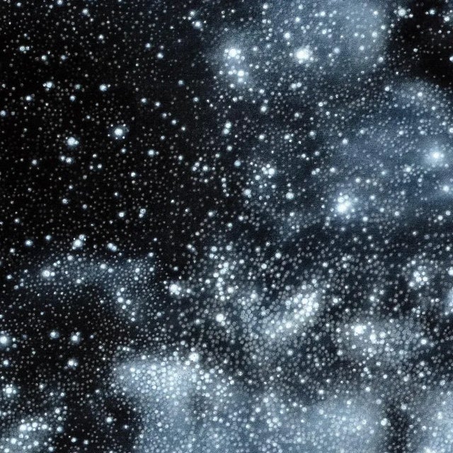 Gallery of the Universe. 2018, canvas, author technique, 200x200 cm Stars on black sky Agate Apkalne. Born in Riga, 1977...