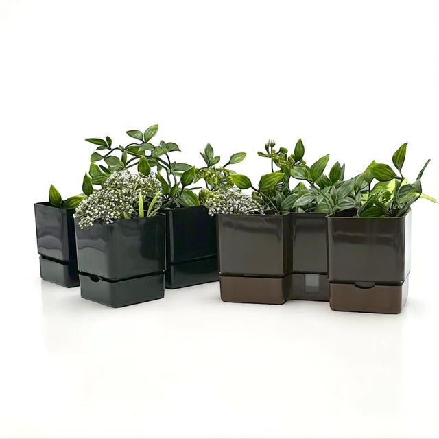 Black Scarabeo Planters by Michael McCann for Vastill, 1970s, Set of 2 For Sale - Image 8 of 11