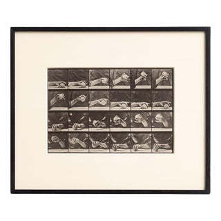 Eadweard Muybridge, Black and White Hand with Ball Movement, 1982, Photograph, Framed For Sale