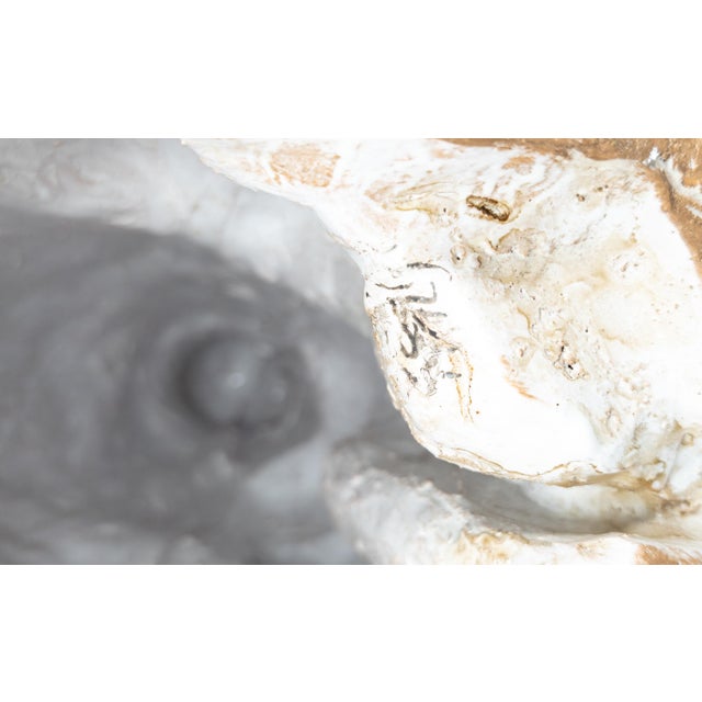 Mid-Century 32" Italian Terra Cotta Figure of a Leopard For Sale - Image 11 of 11