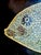 Metal Mid 20th Century Couroc of Monterey Tray With Brass, Turquoise and Stone Inlay Fish For Sale - Image 7 of 15