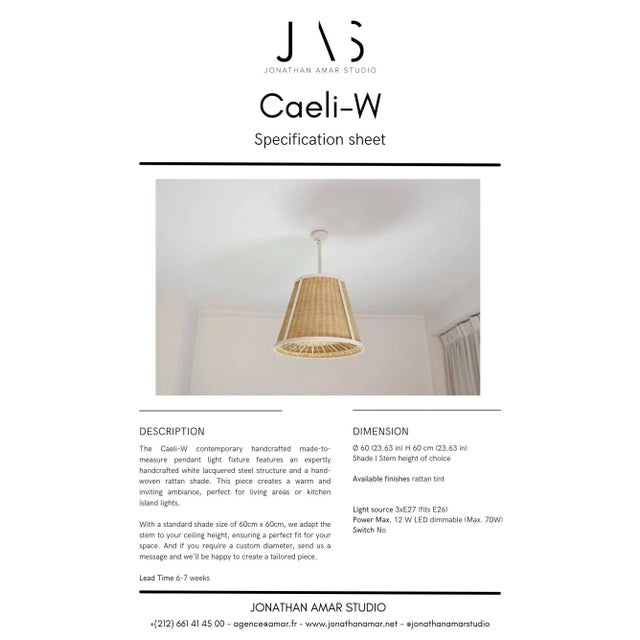 Caeli-W Monumental Steel Rattan Pendant Light, Flow Collection For Sale - Image 10 of 10