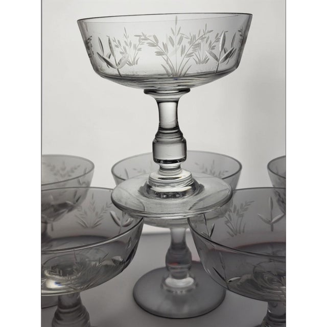 Crystal Champagne Coupes with Engraved Wheat Ears, 1950s, Set of 6 For Sale - Image 4 of 8