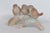 Brown Otagiri Three Birds Perched on Branch Porcelain Figurine Made in Japan 4965b For Sale - Image 8 of 13