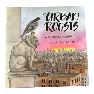 New York City Urban Roosts Vintage Children's Book For Sale