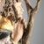 Saint Christopher and Jesus Sculpture in Wood, Trentino Alto Adige, Italy For Sale - Image 6 of 11