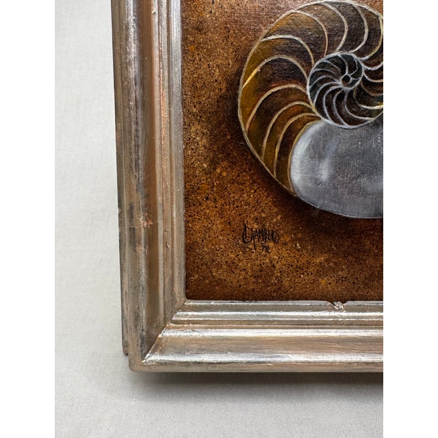 Vintage Coastal Nautilus Shells Realism Original Oil Framed Painting in Silver, Brown, Camel For Sale - Image 4 of 12