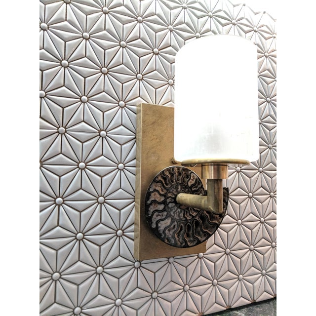 Natural Ammonite Nautilus Fossil Wall Light in Solid Brass and Glass Shade For Sale - Image 4 of 6