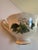 Bottle Green Vintage Royal Albert England "Lady CLARE"Sign A.Wagg Teacup and Saucer Set White Gardenia Green Leaves For Sale - Image 8 of 18