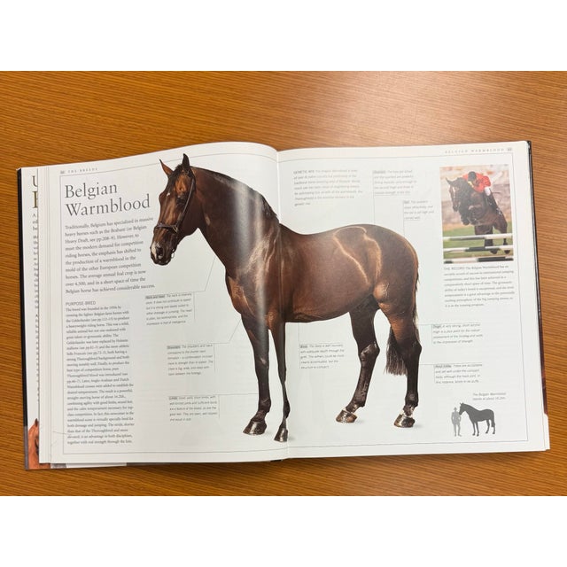 Ultimate Horse Coffee Table Hardcover Book 2002 For Sale - Image 6 of 10