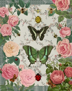 "Victorian Garden," Butterfly, Ladybug, and Botanical Pattern Collage