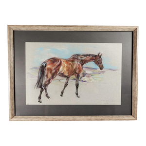 Horse Pastel Painting by Leslie Charlotte Benenson of Erin Star. 3/4 Bred Irish Mare Aged 18. / 1 June 1985