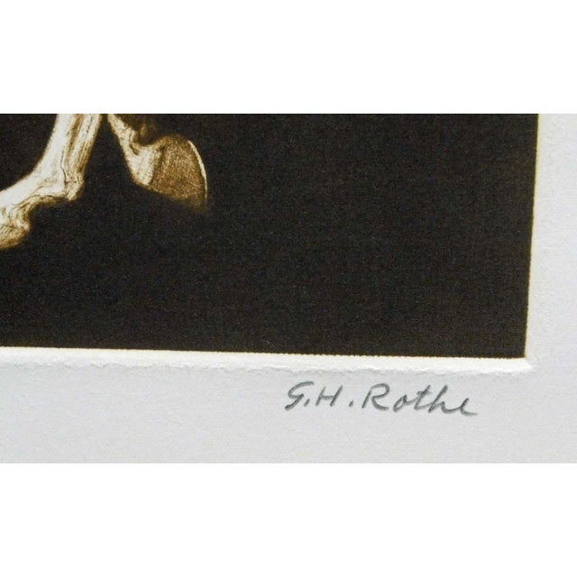 Impressionist g.h Rothe "Ben Rabba"brown Horse Mezzotint Etching Hand Signed Unframed #136/150 For Sale - Image 3 of 5