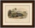Le Dauphin Vulgaire (Common Dolphin), Hand-Colored Engraving, 1840 This charming hand-colored engraving depicts a common...