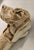 Art Deco Vintage Figural Dog Head Magnifying Glass For Sale - Image 3 of 13