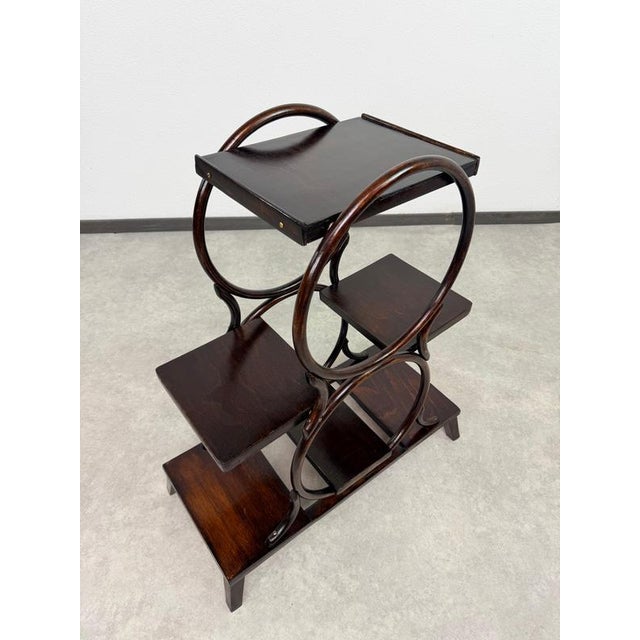 Vienna Secession 4-Tier Bentwood Plant Stand from Thonet, 1910 For Sale - Image 4 of 10