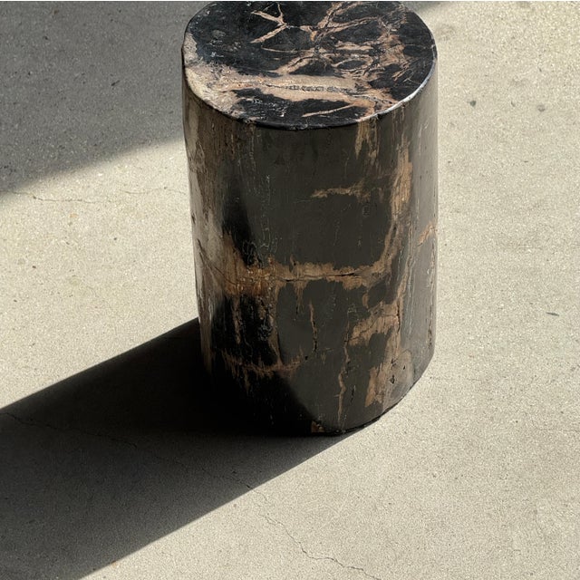 Small Side Table in Black Petrified Wood with Beige Striations, 1980s For Sale - Image 18 of 18