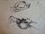 Edouard Goerg, Nude Brothel Scene, Ink Drawing For Sale - Image 5 of 8
