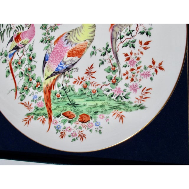Royal Worcester Royal Worcester Birds Plate For Sale - Image 4 of 7