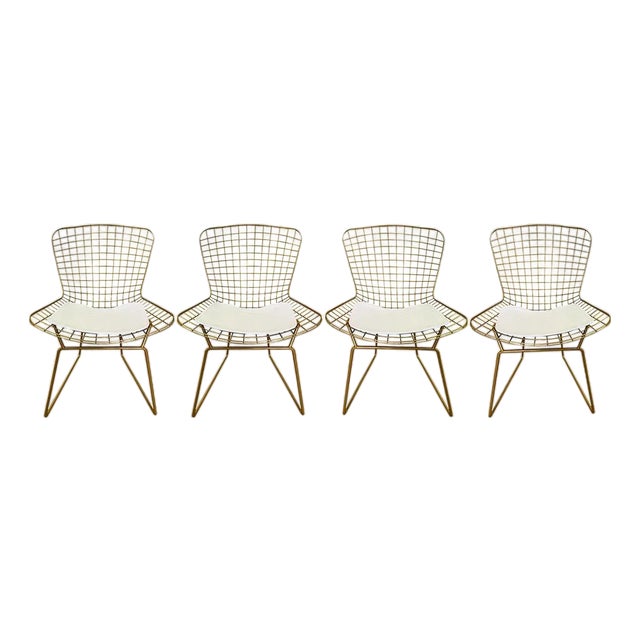 Gold Chrome Steel Chairs in the Style of Harry Bertoia - A Set of 4 For Sale