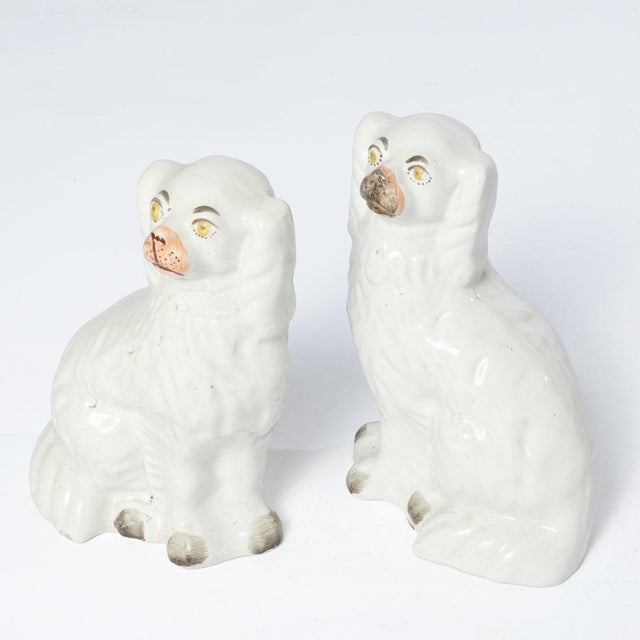 1900s Staffordshire Dogs - a Pair For Sale - Image 12 of 12