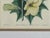 Traditional Wall Decor, Framed Floral Botanicals, Giltwood Frame, 19th C. For Sale - Image 11 of 14