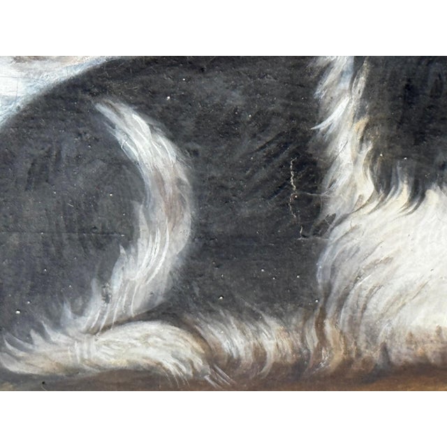 British Blenheim and Prince Charles Tricolour Spaniels Victorian Dogs Oil Portrait in a Wooded Country Landscapen in the Manner of John Dalby of York For Sale - Image 15 of 18