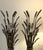 Mid-Century Modern Wheat Sheath Candle Holders For Sale - Image 3 of 5