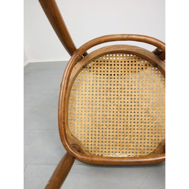 207R Dining Chairs from Thonet, 1970s, Set of 2 For Sale - Image 15 of 18