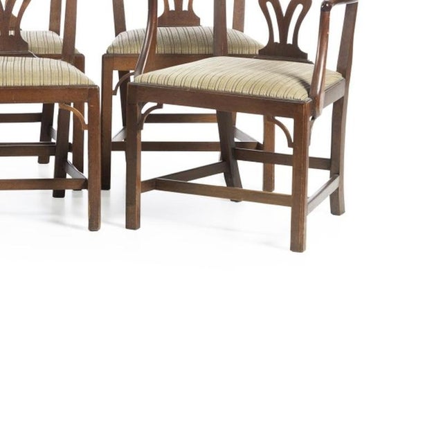 19th Century Chippendale English Chairs in Mahogany, Set of 6 For Sale - Image 5 of 6