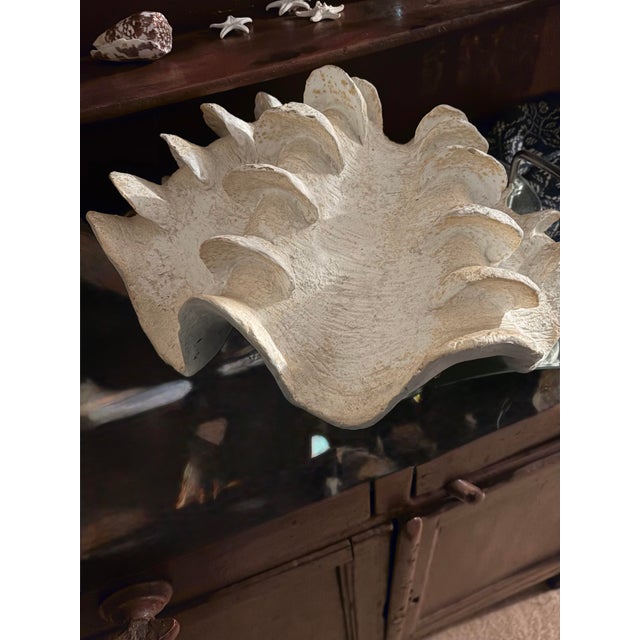 Decorative faux plaster clam shell. Has good design with deep ridges and real looking properties