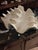 Decorative faux plaster clam shell. Has good design with deep ridges and real looking properties