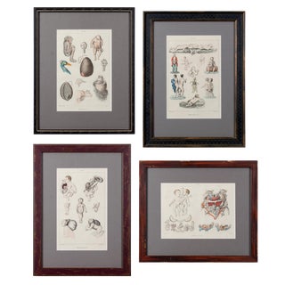 Monstruosites, Engravings From Isidore Geoffrey Sainte-Hilaire, Paris C. 1832 - Set of 4 For Sale