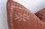 Moroccan Rust Crossroads Cactus Silk Moroccan Pillow For Sale - Image 3 of 7