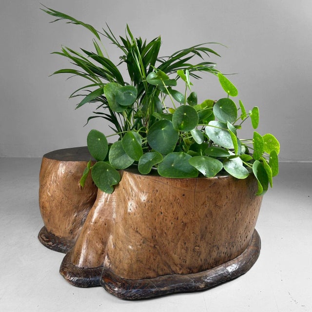 Antique Japanese Wooden Hibachi, 1890s For Sale - Image 17 of 18