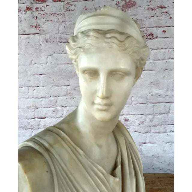 Italian Neoclassical Marble Bust of Diana, 19th Century, Italy Grand Tour For Sale - Image 14 of 14