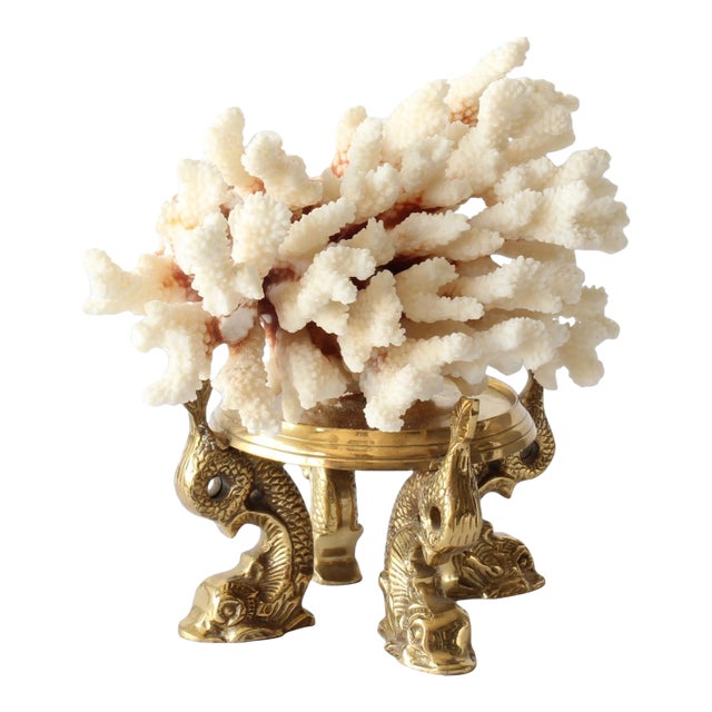 Midcentury Coral on Brass Dolphin Stand For Sale