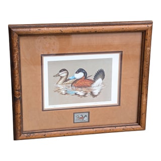 1981-1982 Federal Migratory Bird Hunting and Conservation Stamp Print, Pair of Ruddy Ducks and Original Stamp by John S. Wilson Reproduction For Sale