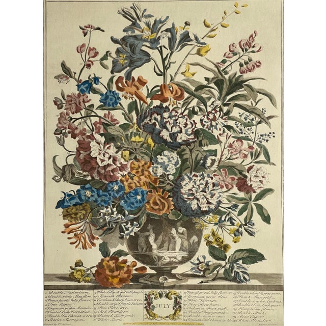Late 20th Century Framed Prints, 12 Months of Flowers by Robert Furber Orig. 1730 - Set of Four For Sale - Image 11 of 18