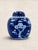 1920s Amazing Antique English Blue & White Porcelain Ginger Jar For Sale - Image 5 of 8