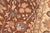 Art Nouveau 1990's Floral Pak-Persian Brown/Beige Wool Rug - 6'2'' X 9'2'' For Sale In New York - Image 6 of 9