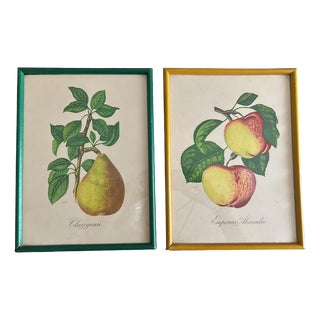 Sidney Zoltan Lucas, Fruits, 1890s-1910s, Lithographs, Set of 2 For Sale